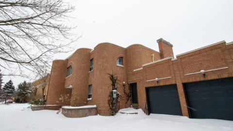 Photo from Communi-tree Watch Program - February 2023