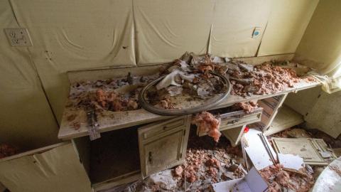 Chair-y Decayed - February 2023 - IMG_3668.JPG