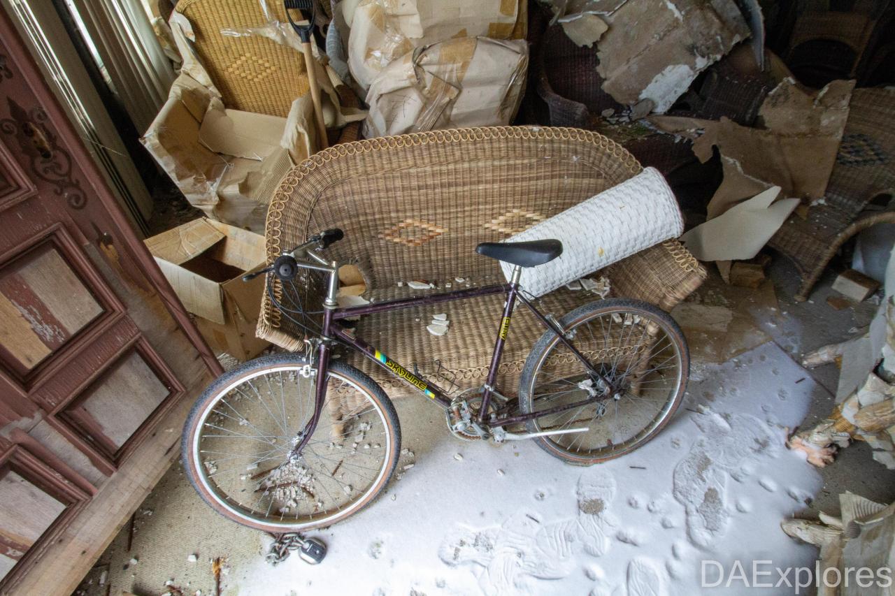 Chair-y Decayed - February 2023 - IMG_3670.JPG