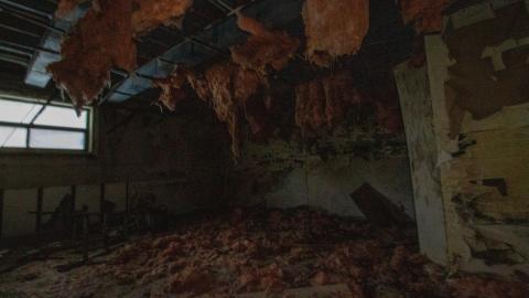 Chair-y Decayed - February 2023 - IMG_3675.JPG