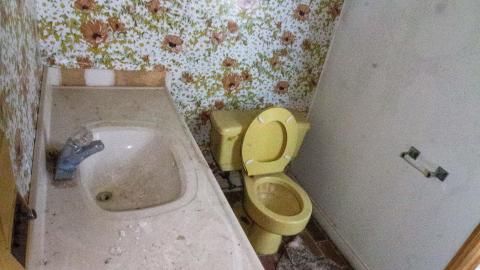 Chair-y Decayed - February 2023 - IMG_3677.JPG