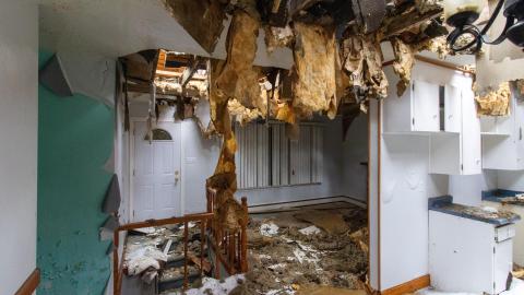 Open Concept? - March 2023 - IMG_3897.JPG