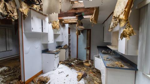 Open Concept? - March 2023 - IMG_3898.JPG