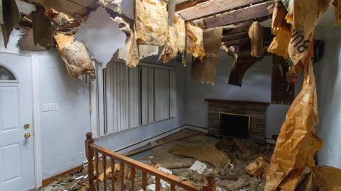 Open Concept? - March 2023 - IMG_3899.JPG