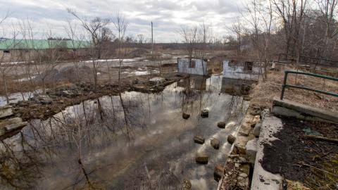 The Legacy Of Windfields - March 2023 - IMG_3930.JPG