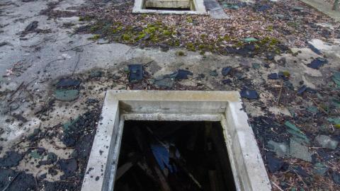 The Legacy Of Windfields - March 2023 - IMG_3931.JPG