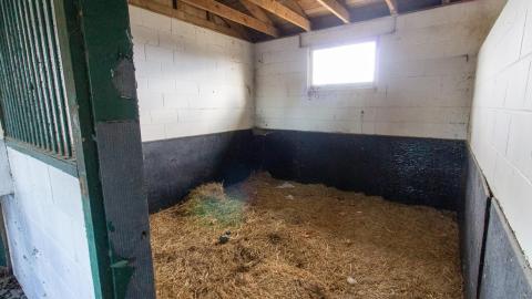 The Legacy Of Windfields - March 2023 - IMG_3935.JPG