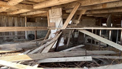 Nothin But Decay - CF95977D-A08A-47C8-89A2-FD27C2787052.jpeg