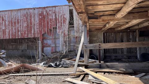 Photo from Nothin But Decay