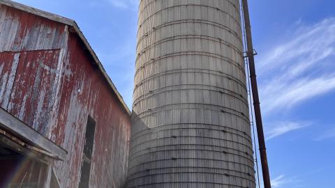 Nothin But Decay - 6B032574-63ED-4965-BE5A-150BF137CF0C.jpeg