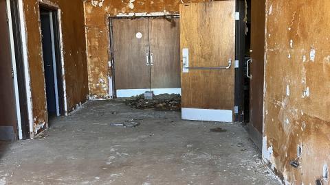 Lions Field - 85FC12D1-B823-4354-9E96-52998A3FF7D2.jpeg