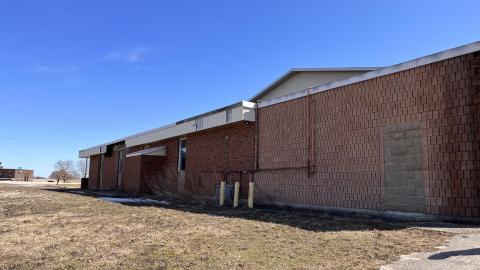 Lions Field - 1BFD9D5D-E45B-4478-99A7-7460A2BC1F2D.jpeg