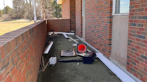 Lions Field - 76EBEC84-E418-4AC3-B5FA-6395C2CABE83.jpeg