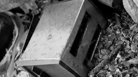 March 2012 - The-Lapp-House68.jpg