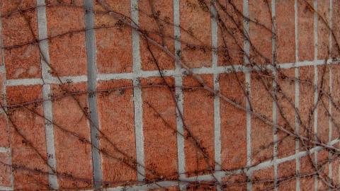 Photo from 2 Screws Away - Febuary 2023 (Exteriors)