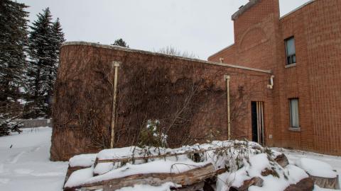 2 Screws Away - Febuary 2023 (Exteriors) - tree-8910.jpg