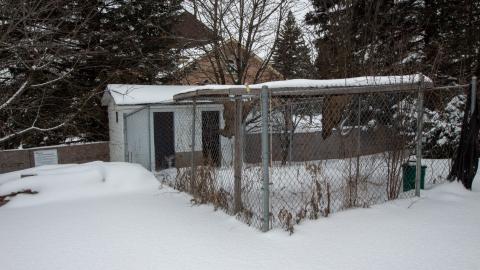 2 Screws Away - Febuary 2023 (Exteriors) - tree-8911.jpg