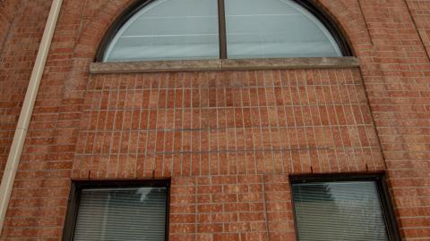 2 Screws Away - Febuary 2023 (Exteriors) - tree-8918.jpg