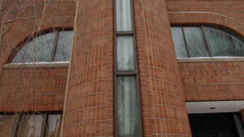 2 Screws Away - Febuary 2023 (Exteriors) - tree-8919.jpg