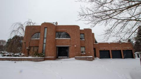 2 Screws Away - Febuary 2023 (Exteriors) - tree-8921.jpg