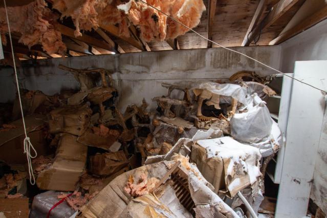 Have A Seat - Febuary 2023 - ruined_staircase-8941.jpg