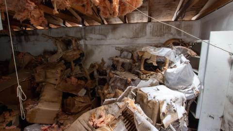 Have A Seat - Febuary 2023 - ruined_staircase-8941.jpg