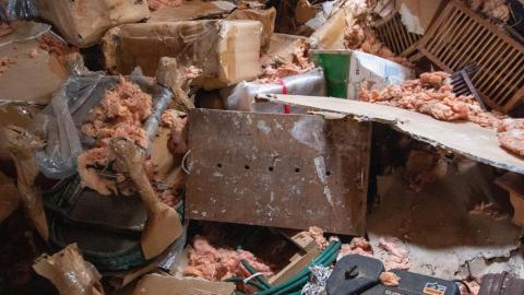 Have A Seat - Febuary 2023 - ruined_staircase-8951.jpg