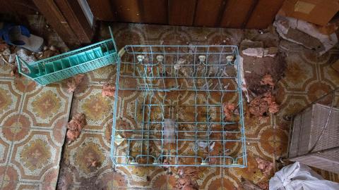 Have A Seat - Febuary 2023 - ruined_staircase-8955.jpg