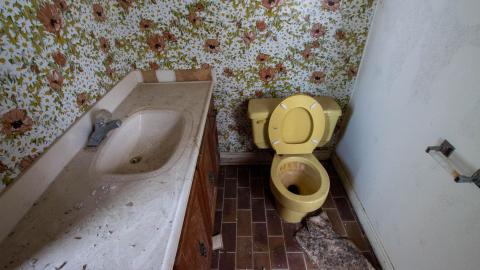 Have A Seat - Febuary 2023 - ruined_staircase-8996.jpg