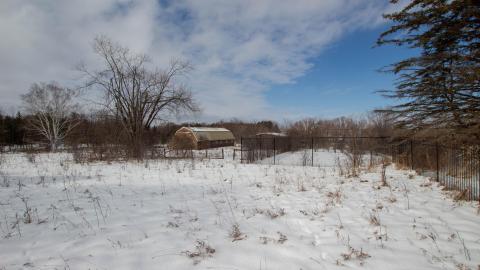 Have A Seat - Febuary 2023 - ruined_staircase-9023.jpg