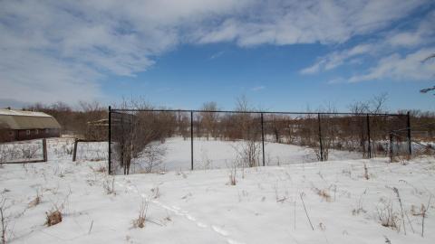 Have A Seat - Febuary 2023 - ruined_staircase-9024.jpg