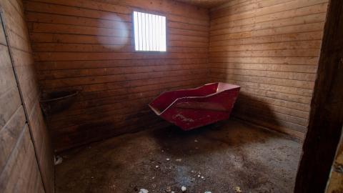 Have A Seat - Febuary 2023 - ruined_staircase-9030.jpg