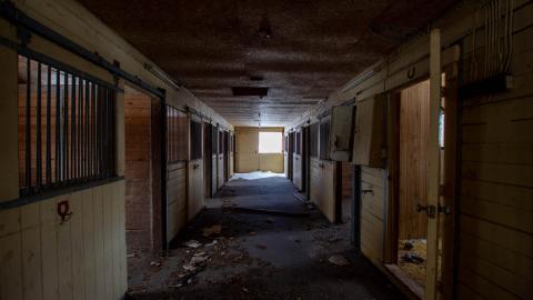 Have A Seat - Febuary 2023 - ruined_staircase-9031.jpg