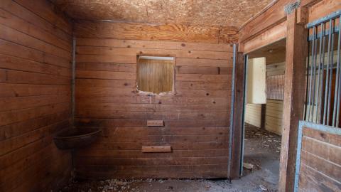 Have A Seat - Febuary 2023 - ruined_staircase-9033.jpg