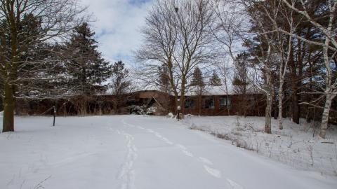 Have A Seat - Febuary 2023 - ruined_staircase-9048.jpg