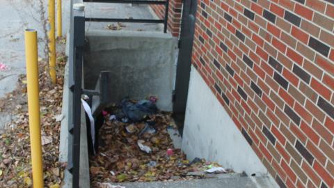 Daytime Visit/Nightime Entry - IMG_0420.JPG