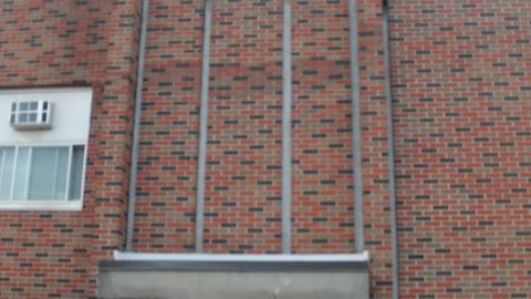 Daytime Visit/Nightime Entry - IMG_0425.JPG