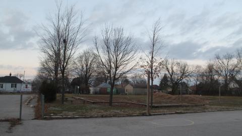 Daytime Visit/Nightime Entry - IMG_0446.JPG