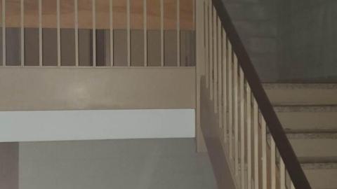 Daytime Visit/Nightime Entry - 336650467_1684826505262623_7828087967940454609_n.jpg