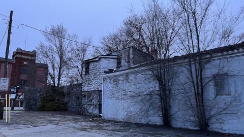 Clean Up - IMG_3711.jpeg