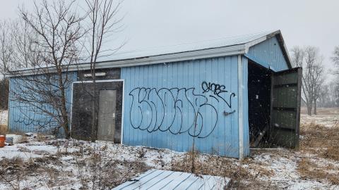 Photo from I'm still standing