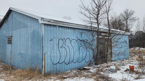 Photo from I'm still standing