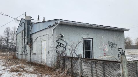 I'm still standing - 20230331_122851.jpg