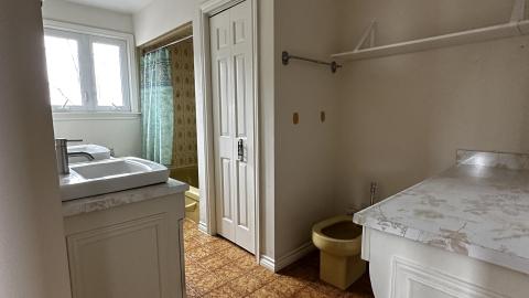 March 28 2023 - 5DE8B240-882A-46B5-9782-25995EAF38D7.jpeg