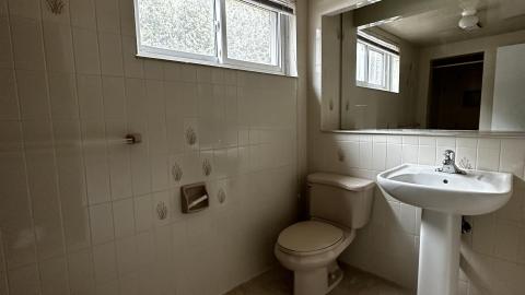 March 28 2023 - E76EF6B2-F08B-4F74-B1C2-63229E03C702.jpeg