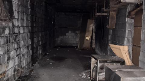 Clean Up - IMG_4403.jpeg