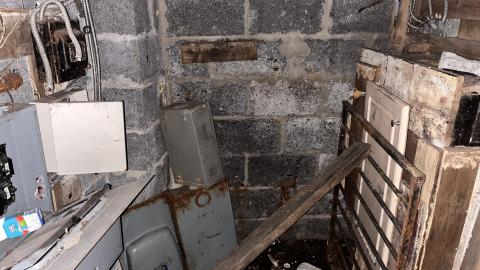 Clean Up - IMG_4393.jpeg