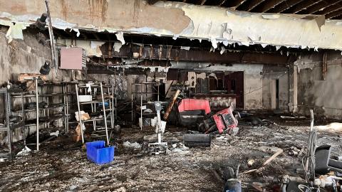 Clean Up - IMG_4379.jpeg