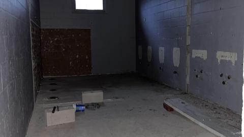 Lions Field - IMG_4555.jpeg