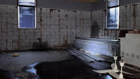 Lions Field - IMG_4557.jpeg